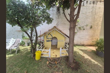 19_photo/00a6981f41.0dba02f6e03a3679-ATLAS-0a14f8ed-5711-4ce2-b29b-6dd729bae9e8.jpg de casa para alugar com 5 quartos, 388m² em Belvedere, Belo Horizonte