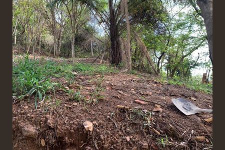 6_photo/00a698b6d3.ceff8192393c33de-ATLAS-44b81c43-43c1-43fc-8e94-3bd1c34f3274.jpg de casa à venda com 3 quartos, 1200m² em Vila Maria do Carmo, Nova Lima