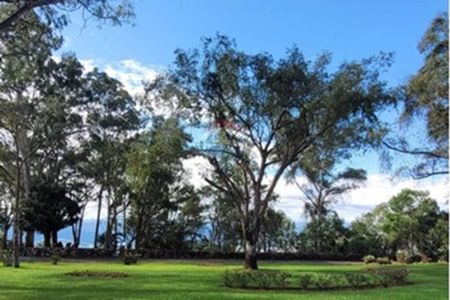 9_photo/00a69f24b5.912bb953107d94de-ATLAS-6a5fd4b5-e3c8-4ea8-86f0-d633665845a2.jpg de casa à venda com 4 quartos, 400m² em Olaria, Nova Lima