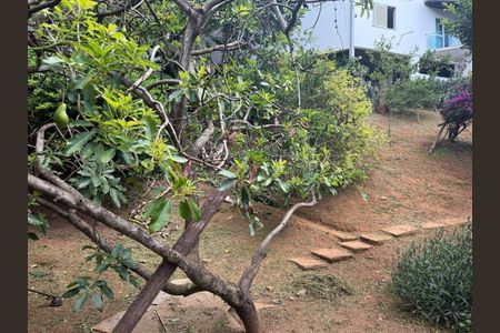 50_photo/00a69f3af7.8a734c1c2a3b006e-ATLAS-b17290b8-3b22-45c5-9bab-324c07b34764.jpg de casa à venda com 3 quartos, 383m² em Quintas, Nova Lima