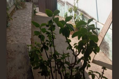 5_photo/00a69f3e8d.a15f321e408d66f6-ATLAS-6be5b436-5e75-4825-9418-72f938152f4d.jpg de casa à venda com 2 quartos, 300m² em Jardim das Americas, Nova Lima