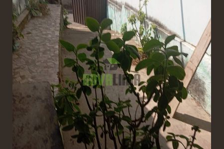 5_photo/00a69f3e8d.a15f321e408d66f6-ATLAS-b06e5350-4fda-4ba7-bce3-347e63232622.jpg de casa à venda com 2 quartos, 300m² em Jardim das Americas, Nova Lima