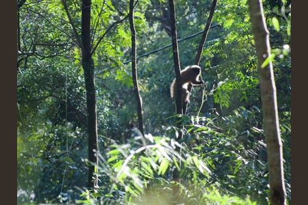 6_photo/00a6a3595f.ceff8192393c33de-ATLAS-ea136af8-04b1-4e90-b40d-30f6f9f766ff.jpg de casa à venda com 4 quartos, 430m² em Passárgada, Nova Lima