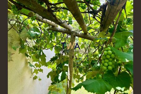 2_photo/00a6afcd8f.bda5b314c1bd6830-ATLAS-0fefdef5-ae2b-4c82-9c24-0ca7500a9bbb.jpg de casa à venda com 3 quartos, 250m² em , Nova Lima