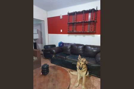 7_photo/00a6bb02e3.eb4747a7722cd593-ATLAS-d599d7bf-22a8-4cce-87f0-a16334cb5506.jpg de casa à venda com 3 quartos, 240m² em Vale do Sol, Nova Lima