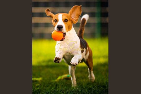 5_photo/071619d807.b7a28b76476596d7-ATLAS-4ba8a18b-93cb-4531-bfa4-c151dc03b483.jpg de apartamento à venda com 2 quartos, 48m² em Jardim Placaford, Salvador