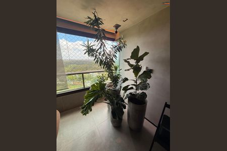 31_photo/07161a18f9.98cf39ec7952f033-ATLAS-b9744fe3-fd52-401b-b903-0ccd9dbc8d59.jpg de apartamento à venda com 4 quartos, 305m² em Pituaçu, Salvador