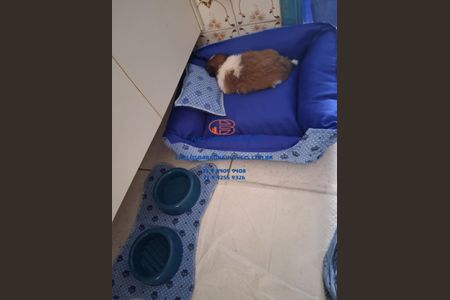 18_photo/07161a47df.15604e16f11eddfa-ATLAS-809dcf1d-be94-4d99-92db-3f9de30d507e.jpg de apartamento à venda com 3 quartos, 63m² em Boca do Rio, Salvador