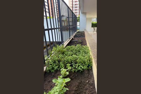 13_photo/07161b0089.0f81dd1a9a4f6ffb-ATLAS-937ef310-981f-45d2-93cd-d716d3307e2b.jpg de apartamento à venda com 3 quartos, 78m² em STIEP, Salvador