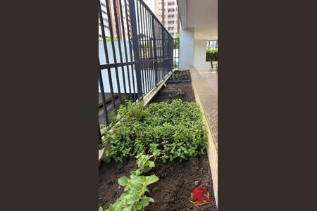 11_photo/07161b00a3.4547eb2d6087f8e6-ATLAS-34d9be06-6ac1-4e51-bee6-632036d0bad4.jpg de apartamento à venda com 3 quartos, 78m² em Stiep, Salvador