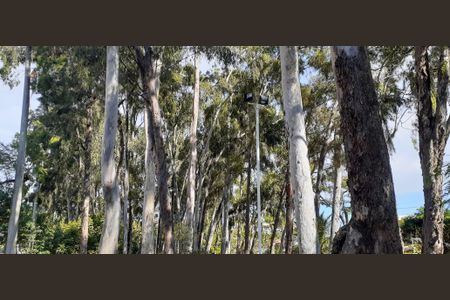 3_photo/07161b10a5.b8a9f91cb517b5ed-ATLAS-b2d0e855-60a6-4f7f-9cdc-54272dd6c67b.jpg de casa à venda com 4 quartos, 390m² em Pituba, Salvador