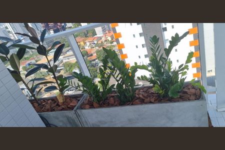 22_photo/07161b19cd.2ed526e46a3fb60a-ATLAS-e3c4958b-7742-4e6c-b764-03a11a6e23b9.jpg de apartamento para alugar com 1 quarto, 30m² em Caminho das Árvores, Salvador