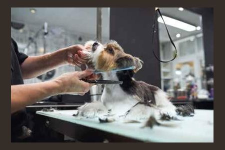 37_photo/07161b2da7.c3a26a150ae9b8d3-ATLAS-941c0668-cfd2-4958-ab07-9e0e78a92251.jpg de apartamento à venda com 2 quartos, 67m² em Luiz Anselmo, Salvador