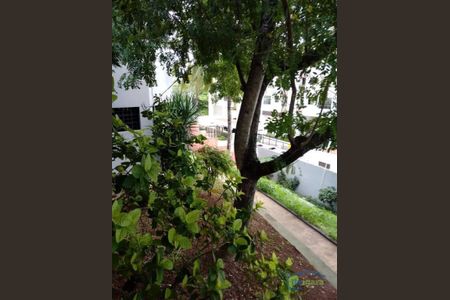 5_photo/07161b3c1f.b7ca6b45e0cb5b9c-ATLAS-3aeea5ec-a2eb-4bed-9b61-d34ea32bfc2b.jpg de apartamento à venda com 3 quartos, 200m² em Brotas, Salvador