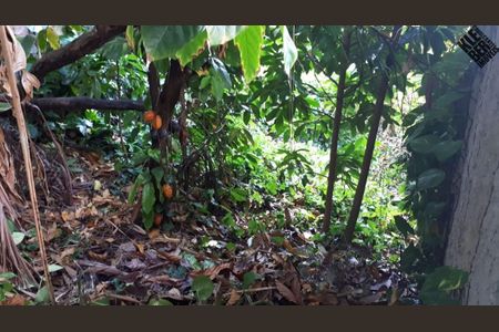 23_photo/07161b4d93.49e5f4e107e90c19-ATLAS-5e4dee36-d686-497d-8bbf-744ebd7afa71.jpg de casa à venda com 4 quartos, 355m² em Candeal, Salvador