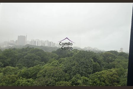 21_photo/07161b4fb3.31c4ac7fe8c95f4c-ATLAS-226ccc66-daad-4a45-a374-4e7de9df27dd.jpg de apartamento à venda com 5 quartos, 300m² em Itaigara, Salvador