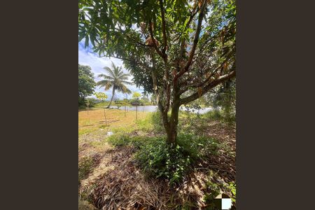 22_photo/07163d804b.b9011c6352d0a570-ATLAS-e4062c84-c482-4b6c-a04d-2d8500efd5f8.jpg de casa à venda com 4 quartos, 350m² em Stella Maris, Salvador