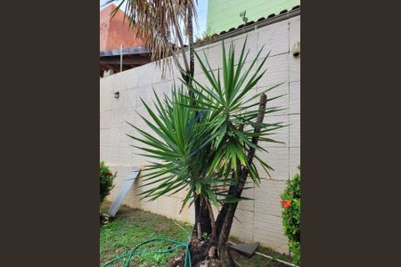 9_photo/07163d91d3.b03dcbf590a228f4-ATLAS-f9ee362b-0ad9-4ebe-8af8-52779e38fc51.jpg de casa para alugar com 4 quartos, 350m² em Stella Maris, Salvador