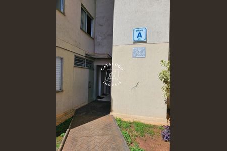 5_photo/94b9959bfb.ae537c11cfa6cc3a-ATLAS-dccbebed-6d45-4f0b-975b-e09196822930.jpg de apartamento para alugar com 2 quartos, 45m² em Valentina Figueiredo, Ribeirão Preto