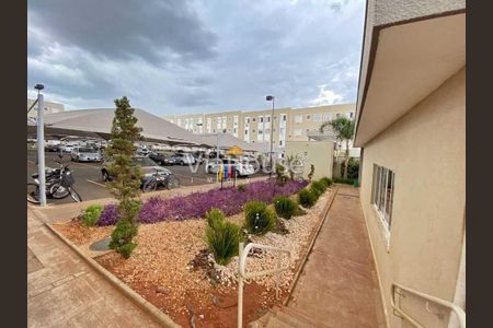 8_photo/94b995bdd9.bd9247655a25298d-ATLAS-c1df9e88-88ff-4eac-b350-e036eed7bc8c.jpg de apartamento para alugar com 2 quartos, 42m² em Subsetor Norte - 6 (N-6), Ribeirão Preto