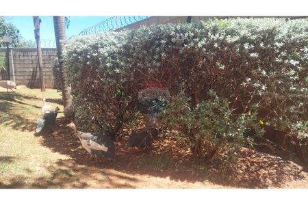 9_photo/94b9b89c23.826aa08d214c4ef3-ATLAS-5ae101d5-e877-4dc8-8a2d-8a5b1184c34c.jpg de apartamento à venda com 2 quartos, 49m² em Jardim Manoel Penna, Ribeirão Preto