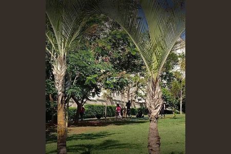 8_photo/94b9b8f251.f38e38137a2159e3-ATLAS-4c3e106b-7057-4ff9-b7e6-bfb7da79f7c5.jpg de apartamento para alugar com 2 quartos, 47m² em Bonfim Paulista, Ribeirão Preto