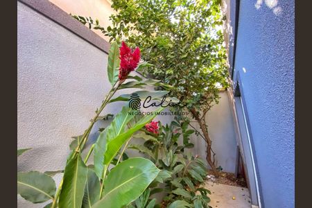 24_photo/94b9b967c7.5afd90b9c05d4dec-ATLAS-b49ea381-dfb4-4dc1-92ff-04bccdfdc300.jpg de casa de condomínio à venda com 3 quartos, 428m² em Vila do Golfe, Ribeirão Preto