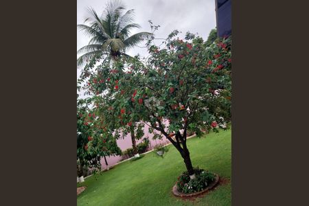 9_photo/94b9bde1d5.638b34ff0fe22444-ATLAS-1a27433f-1b5e-49a5-81d9-0c8e2d36d421.jpg de casa à venda com 5 quartos, 170m² em Parque Residencial Cidade Universitaria, Ribeirão Preto