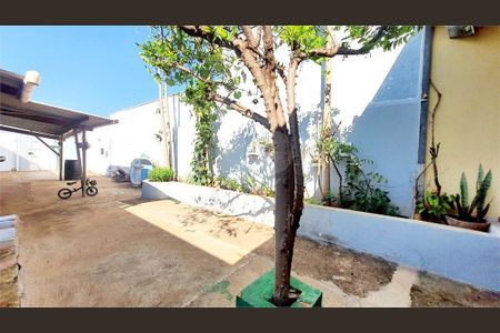 3_photo/94b9be31d9.181df9b8d02e64dd-ATLAS-17b071fd-9f0e-4712-8671-601b4b1fa1aa.jpg de casa à venda com 2 quartos, 250m² em Vila Albertina, Ribeirão Preto