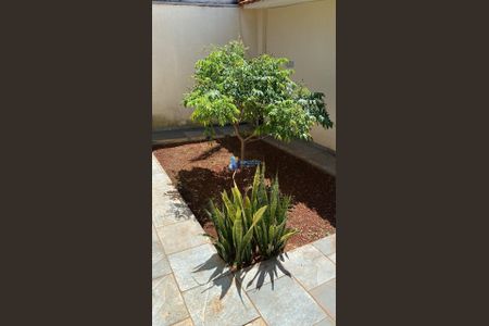 4_photo/94b9be77d5.0525abac1259ffb1-ATLAS-2bca96de-94c3-4eb2-bdb5-c73f2c40ae5e.jpg de casa à venda com 3 quartos, 104m² em Vila Monte Alegre, Ribeirão Preto