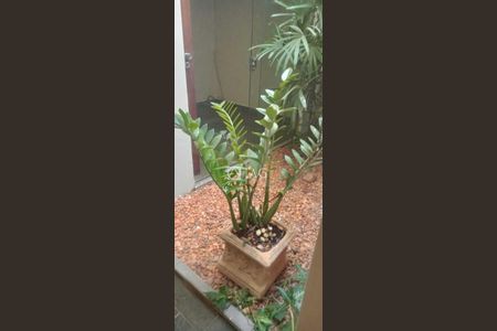 12_photo/94b9bec0d7.24348ca5a8f05847-ATLAS-e9655be7-4d11-485d-a5bf-5acfcdc2b0c5.jpg de casa para alugar com 3 quartos, 159m² em Alto da Boa Vista, Ribeirão Preto