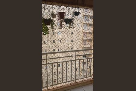 11_photo/94b9bed8ff.ceff8192393c33de-ATLAS-334f3965-5016-4da7-9ce7-e293b23b2fdb.jpg de casa à venda com 3 quartos, 67m² em Jardim Sao Luiz, Ribeirão Preto