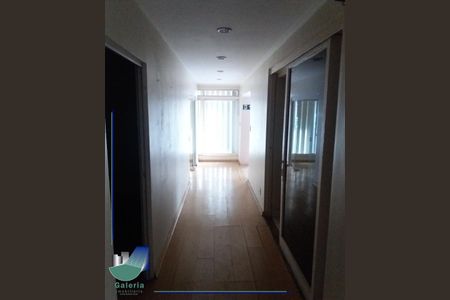 31_photo/94b9bee583.912bb953107d94de-ATLAS-0eb71699-525f-4d2a-82d1-d67a30fa07bf.jpg de casa para alugar com 2 quartos, 424m² em Centro, Ribeirão Preto