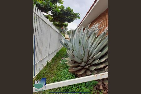 28_photo/94b9beee8d.cb2272fcfeb20142-ATLAS-c947fbba-5672-46cd-8cfd-b22ceb37d16a.jpg de casa para alugar com 3 quartos, 266m² em Jardim Sumare, Ribeirão Preto