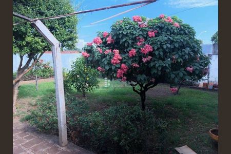 8_photo/94b9beffc5.cadf0cb480790de5-ATLAS-57fbd2f4-774a-4397-b85f-14cd930a0e02.jpg de casa à venda com 5 quartos, 295m² em Campos Elísios, Ribeirão Preto