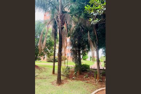 23_photo/94b9bf0949.7d9bb799db321f5e-ATLAS-e7d9c20c-a8cd-4ab7-b821-a9d35b0ec942.jpg de apartamento à venda com 3 quartos, 76m² em Instituição Moura Lacerda, Ribeirão Preto