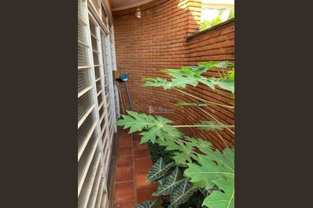 14_photo/94b9bf232f.a9ad82c0a29b9a19-ATLAS-51cc7cec-c01d-4327-8b92-6a4f63b044b5.jpg de casa à venda com 3 quartos, 149m² em Jardim Paulista, Ribeirão Preto