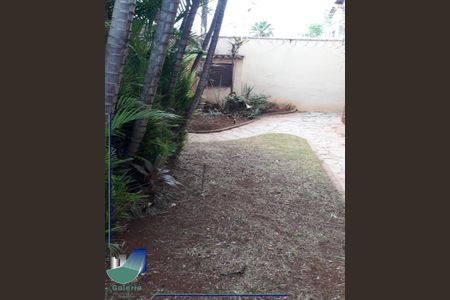 41_photo/94b9bf27c9.1c8b4d6ddc3b91a7-ATLAS-ea1f3138-79af-4566-9ee8-57651cc0d816.jpg de casa à venda com 3 quartos, 177m² em Jardim Sumare, Ribeirão Preto