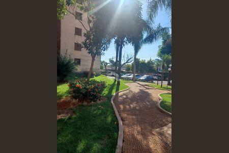 5_photo/94b9bf5097.7d9bb799db321f5e-ATLAS-92cd4ae2-6ed6-4e85-b610-906a02a331f2.jpg de apartamento à venda com 3 quartos, 66m² em Parque Industrial Lagoinha, Ribeirão Preto