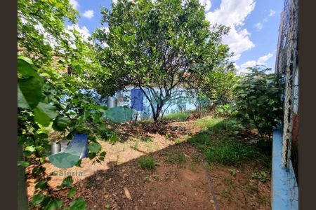9_photo/94b9bf5641.0e65721c5fbd9054-ATLAS-ff575f1a-10fd-489a-90a7-3f52eb2497f8.jpg de casa à venda com 6 quartos, 310m² em Subsetor Leste - 8 (L-8), Ribeirão Preto