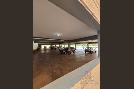 9_photo/94b9bf5cb5.a2a1e4d050ae6c4a-ATLAS-6be59712-c57c-4be9-a5e2-76d0077a826a.jpg de apartamento para alugar com 2 quartos, 53m² em Jardim Anhanguera, Ribeirão Preto