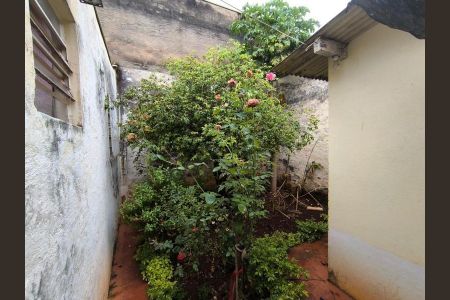 22_photo/94b9bfabdd.d1c0536981ee8b44-ATLAS-b15a053f-5a25-4b27-9f3f-33537434efa9.jpg de casa à venda com 2 quartos, 150m² em Campos Elísios, Ribeirão Preto