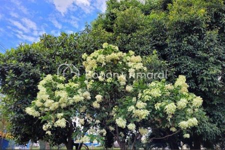11_photo/94c89562c5.671b3960e7484b54-ATLAS-4d8eb21b-aa22-415b-8e23-9070ef630e73.jpg de casa de condomínio à venda com 3 quartos, 139m² em Vila Jose Paulino Nogueira, Paulínia