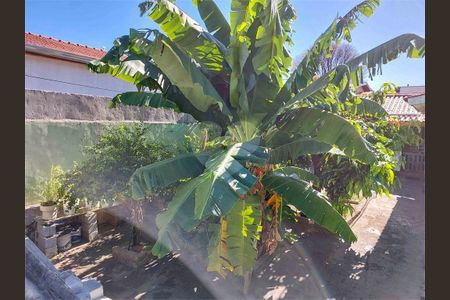 5_photo/94c8b60fa9.6721d330cc8d7611-ATLAS-39ff25a7-7fae-4997-8020-c4f982b57ff5.jpg de casa à venda com 2 quartos, 97m² em Parque das Industrias, Campinas
