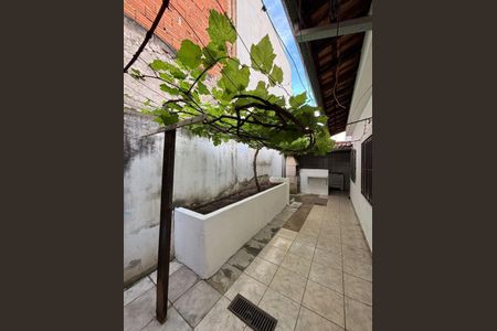 9_photo/94c8b62af7.79673dc0b6e4bf6d-ATLAS-ef1c20c5-7af8-4658-a7e5-c3e5f58b334c.jpg de casa à venda com 3 quartos, 150m² em Jardim Uruguai, Campinas
