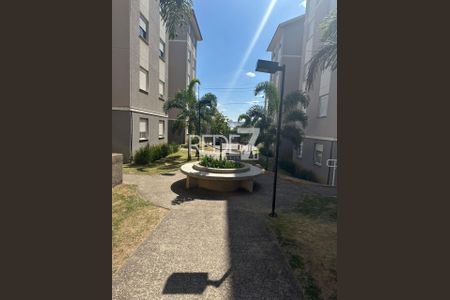 21_photo/94c8b62de3.5489b253c885a4a2-ATLAS-88a27907-e228-403c-af1f-8413ddfc35f0.jpg de apartamento à venda com 2 quartos, 48m² em Recanto do Sol I, Campinas