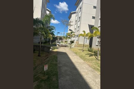 10_photo/94c8b62de3.5489b253c885a4a2-ATLAS-b58605f4-dca9-4a07-b151-7b8fd5a4efca.jpg de apartamento à venda com 2 quartos, 48m² em Recanto do Sol I, Campinas