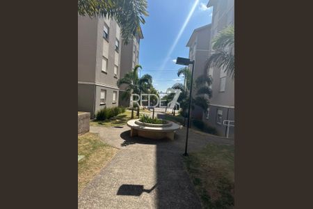 10_photo/94c8b62de3.5489b253c885a4a2-ATLAS-c8822fe8-2d76-4a4f-8aa5-e41f799d80dd.jpg de apartamento à venda com 2 quartos, 48m² em Recanto do Sol I, Campinas