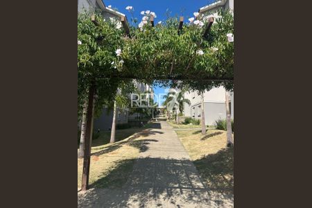 22_photo/94c8b62de3.5489b253c885a4a2-ATLAS-e83bdd65-e08a-4926-95b8-201e43cbc144.jpg de apartamento à venda com 2 quartos, 48m² em Recanto do Sol I, Campinas