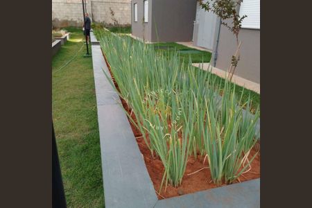 4_photo/94c8b62ef9.6275a056adbfd067-ATLAS-33adee7c-e8e2-46a6-9965-7742054ea62e.jpg de apartamento para alugar com 2 quartos, 47m² em Residencial Novo Tempo, Campinas